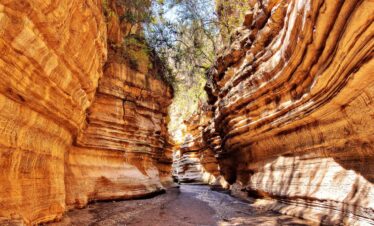 4-Day Hell’s Gate Adventure and Lake Naivasha Safari