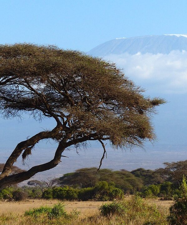 kilimanjaro-720845_1280